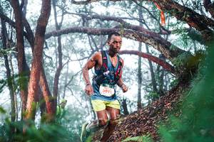 BIB: 
                            <button type="button" onclick="openModal(26295178)" class="btn btn-primary btn-sm float-right btn-popup" data-toggle="modal" data-target=".modal-high-quality">
                        <i class="fas fa-shopping-cart"></i> Add to Cart
                    </button>
                                            <button type="button" onclick="isThisMe(26295178, true)" class="btn btn-success btn-sm float-right btn-popup btn-isme hidden" data-toggle="tooltip" data-placement="bottom" title="นี่คือรูปของคุณใช่ไหม คลิกที่นี่เพื่อเอาเข้าอัลบั้ม">
                        <i class="fas fa-plus"></i> Add to album
                    </button>
                    <button type="button" onclick="isThisMe(26295178, false)" class="btn btn-warning btn-sm float-right btn-popup btn-isnotme hidden">
                        <i class="fas fa-ban"></i> Remove from album
                    </button>